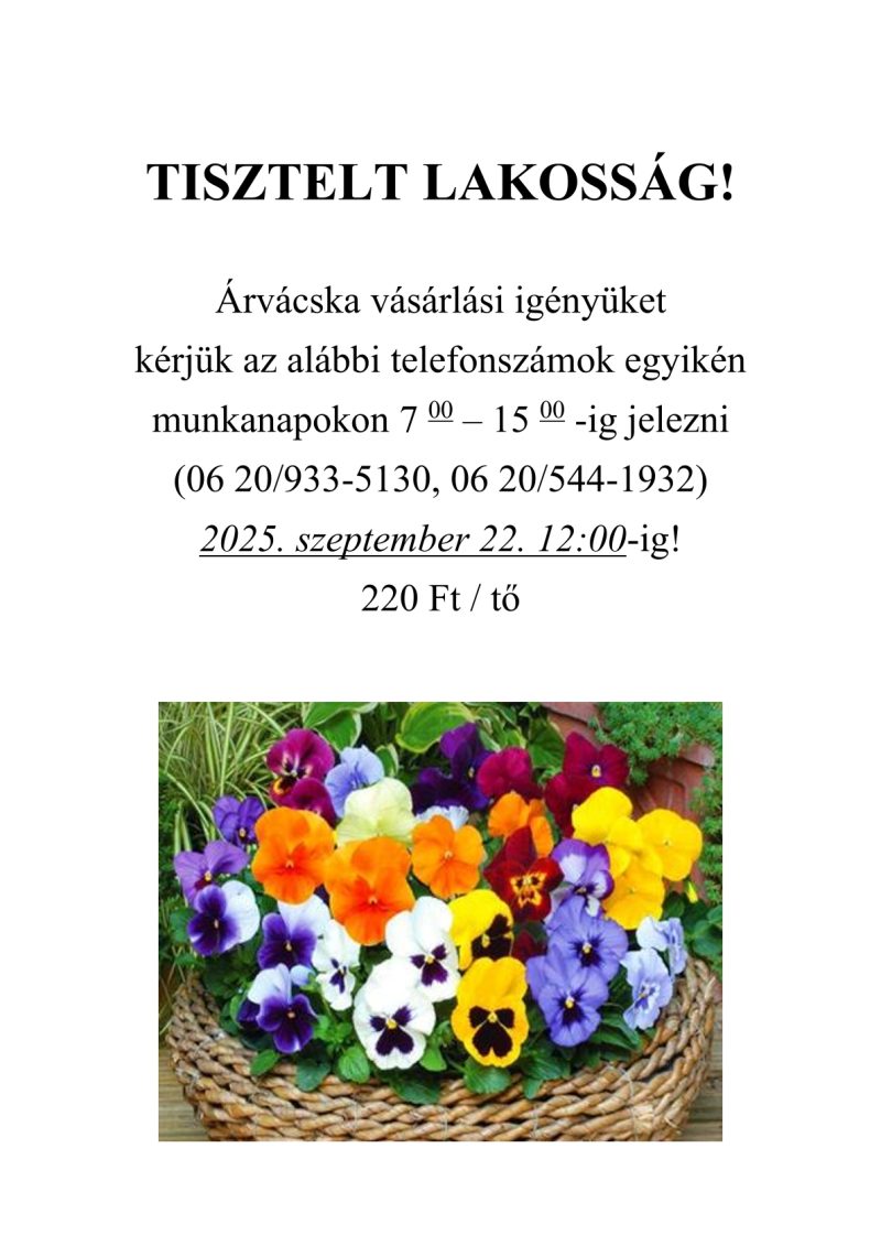 Árvácska rendelés